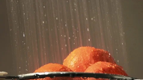 Washing of mandarines. Stock-Footage 101686433