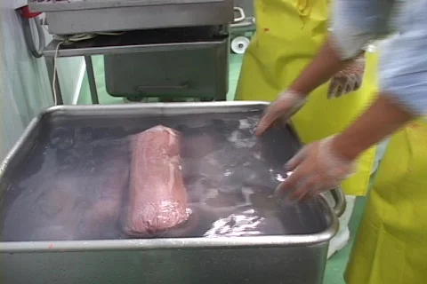 Washing meat Stock Footage 128525