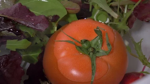 Washing a mixed salad close up 動画素材 103367098