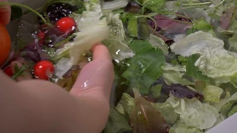 Washing a mixed salad close up 動画素材 103368770