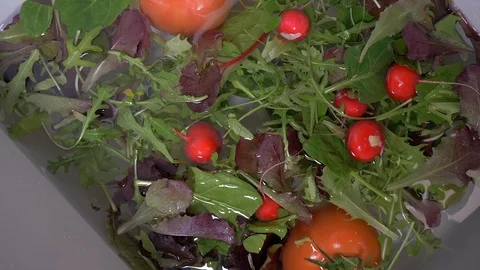Washing a mixed salad close up Stock Footage 103370371