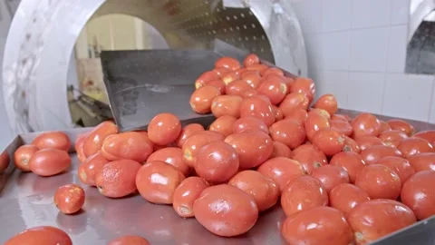 Washing organic tomatoes Stock Footage 171556069