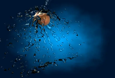 Washing peach3 Stock Footage 2551094