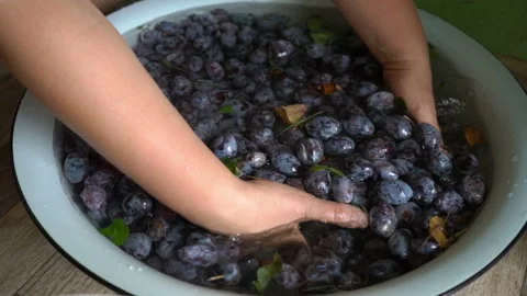 Washing plums Video stock 124909356