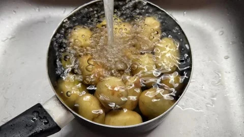 Washing Potatoes Stock Footage 310655787