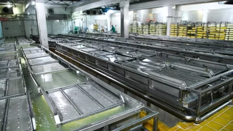 The washing process during cheese production at a cheese factory. Stock Footage 328227619