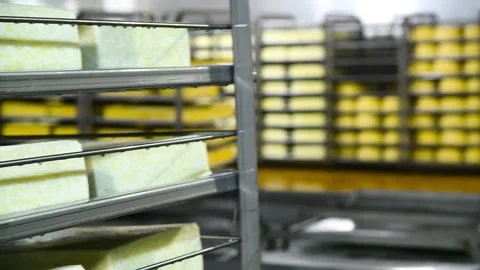 The washing process during cheese production at a cheese factory. Stock Footage 329870650