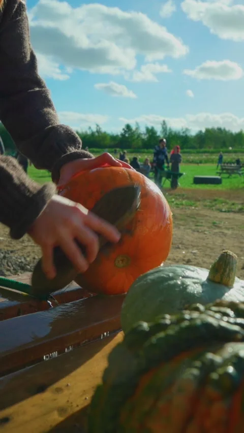 Washing Pumpkin in 60p Stock Footage 218309491