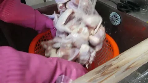 Washing Raw Chicken Wings in Kitchen Sink Video stock 343026872