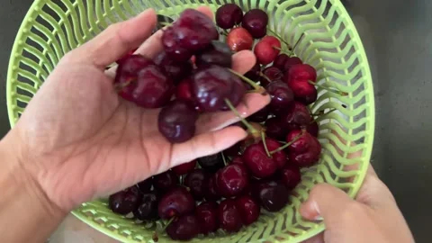 Washing Red Cherry Fruit Stock Footage 243701095