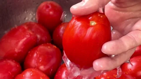 Washing red tomatoes in the sink. Stock Footage 287625129