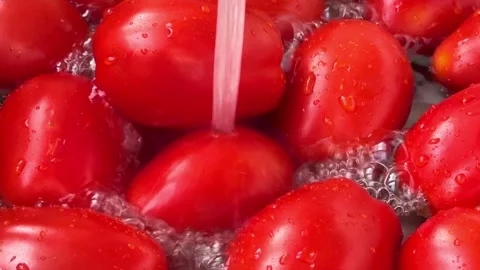 Washing red tomatoes under running water Stock Footage 293331613