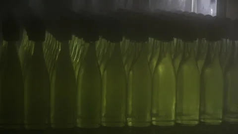 Washing a Sake Bottle Video stock 333193750