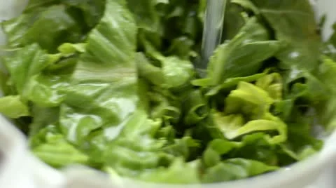 Washing salad Stock Footage 12590387