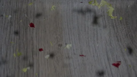 Washing the salad in slow motion 動画素材 123379441