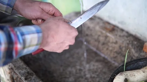 Washing a spring onion at an old-fashioned sink 動画素材 160992559