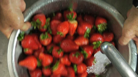 Washing Strawberries Video stock 35535816
