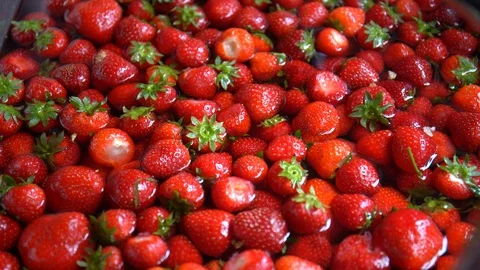 Washing strawberries Stock Footage 88542080