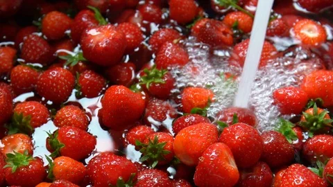 Washing strawberries Stock Footage 88542087