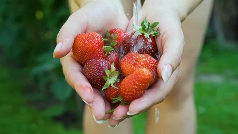Washing Strawberries while Holding It in Hands Vídeo Stock 112663921