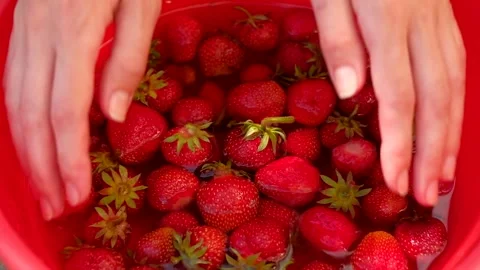Washing Strawberries while Holding It in Hands Stock-Footage 132937628
