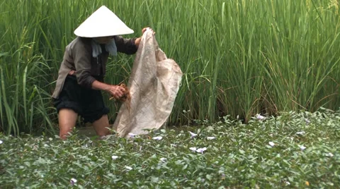 Washing a Tarp Stock Footage 33799279