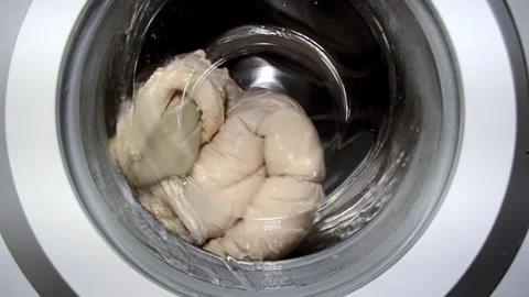Washing things in the washing machine Stock Footage 166438025
