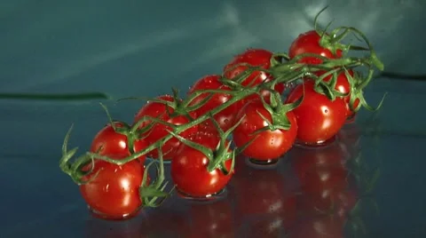 Washing tomatoes Stock Footage 8570541