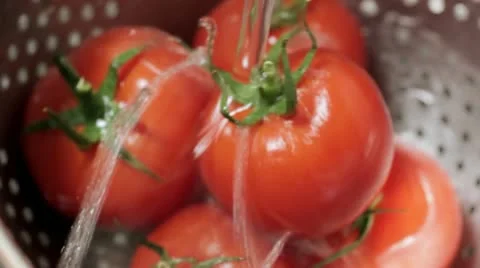 Washing Tomatoes Видео 11957862
