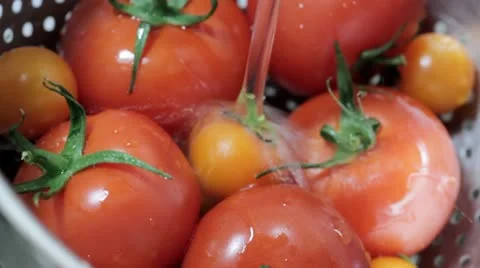 Washing tomatoes Video stock 11981137