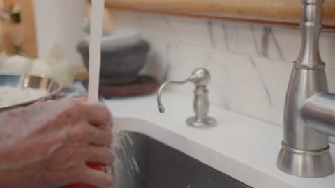 Washing tomatoes Stock Footage 255134931