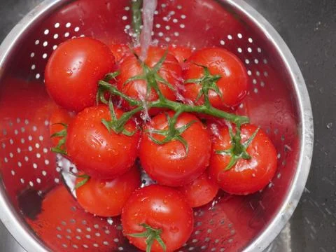 Washing tomatoes Stock Photos