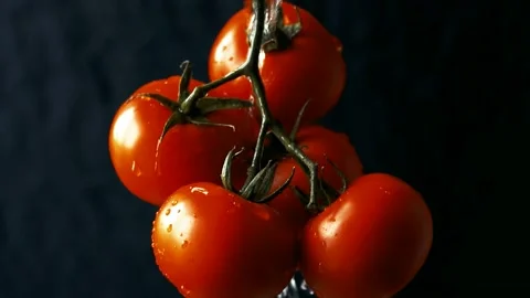 Washing Tomatoes in Slow Motion. A bunch of fresh tomato produce. 4K, 60 fps Stock Footage 221018566