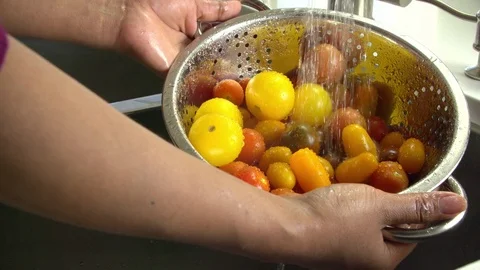 Washing Tomatoes Slow Motion 動画素材 75554566
