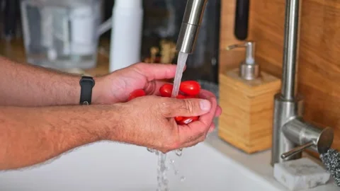 Washing tomatoes under a stream of water in the kitchen sink. Male hands ha.. Stock Footage 282255061
