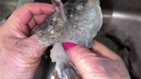 Washing under tap with cuttlefish water Video stock 221784480