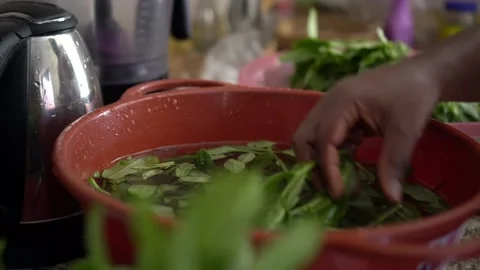 Washing vegetables Stock Footage 241152512