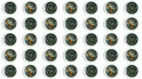 Washing Wall Loop Stock Footage 22796531