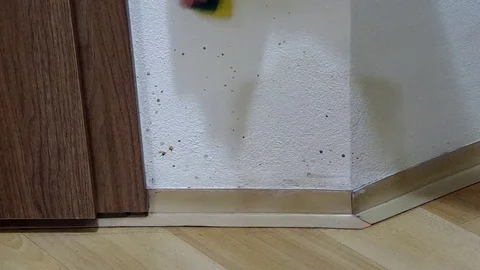 Washing the wall with a sponge Stock Footage 80389254