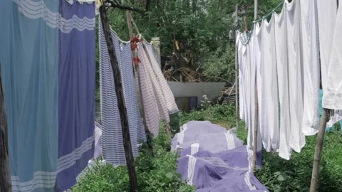Washing in the Wild - A Whimsy of Laundry Stock Footage 318485799