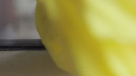 Washing   window  with rag  detail Stock Footage 295334309