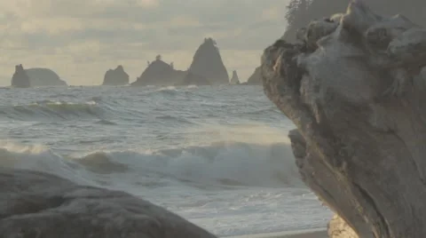 Washington Coast Line Stock Footage 40002291