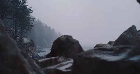 Washington coast winter storm with waves and an eagle Stock Footage 102730830