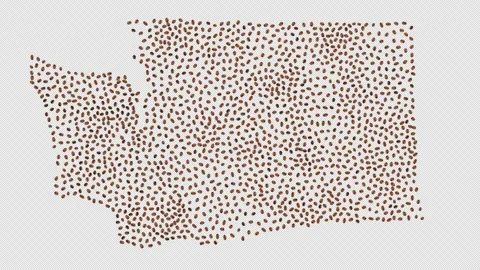 Washington Coffee Beans Stock Footage 148038747