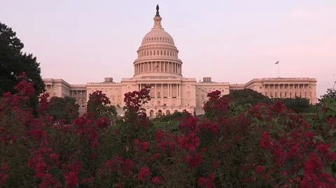 Washington DC 011 Stock Footage 10561759