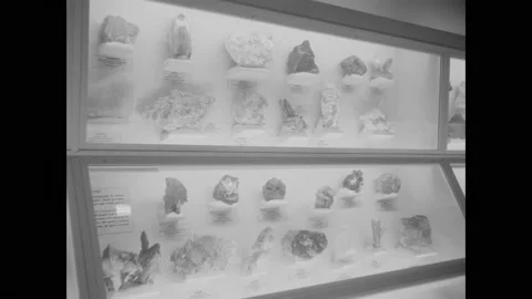 WASHINGTON DC - 1958 - Halides and oxysalts are displayed at the Smithsonian Stock Footage 301323507