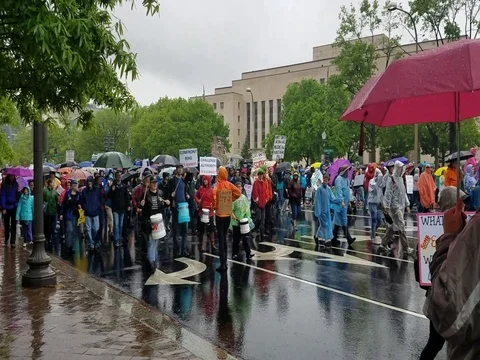 WASHINGTON DC - APRIL 22, 2017 March for Science Stock Footage