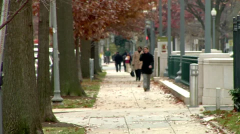 Washington DC Autumn Stock Footage 38875757
