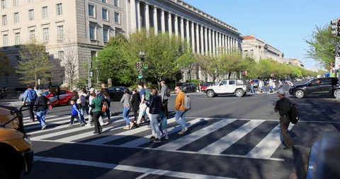 Washington DC busy road intersection downtown pedestrians traffic 4K Stock Footage 239806296
