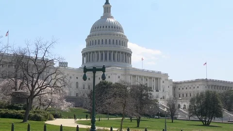 Washington DC Capital Building In Spring Mid Shot Vidéo 88645119